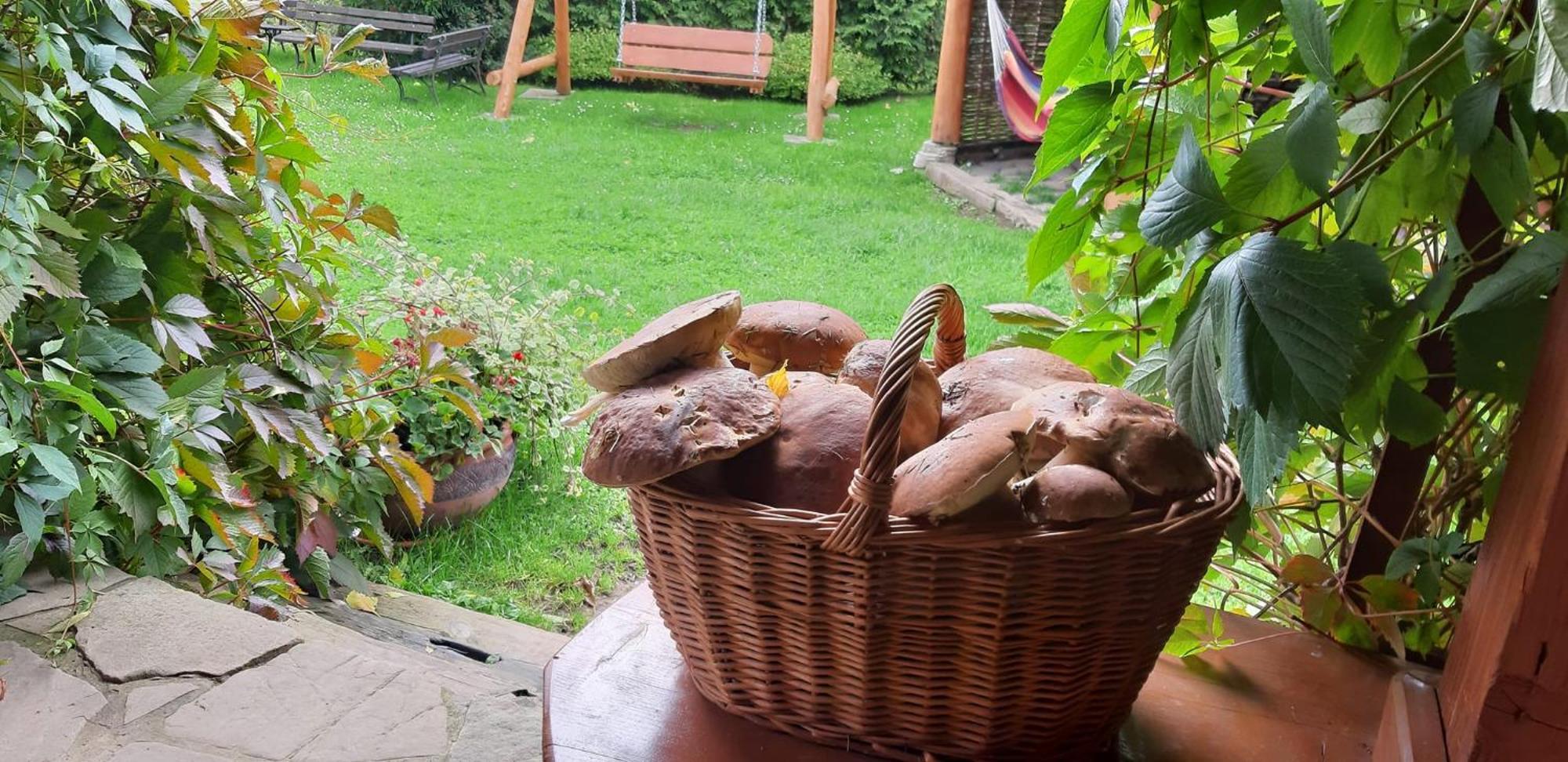 Pegazowa Wola Cisna Exterior foto