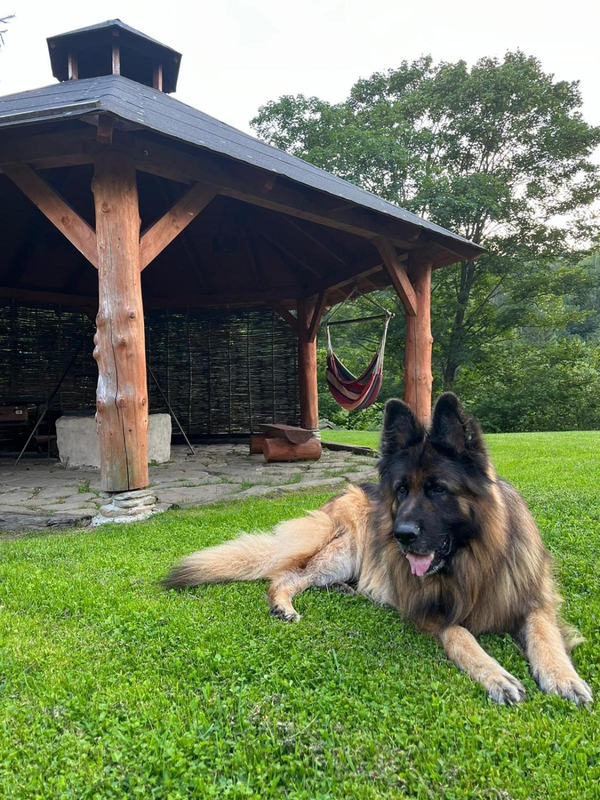 Pegazowa Wola Cisna Exterior foto