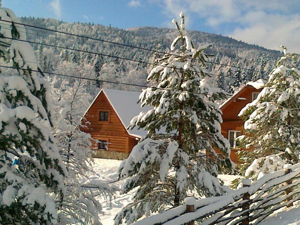 Pegazowa Wola Cisna Exterior foto